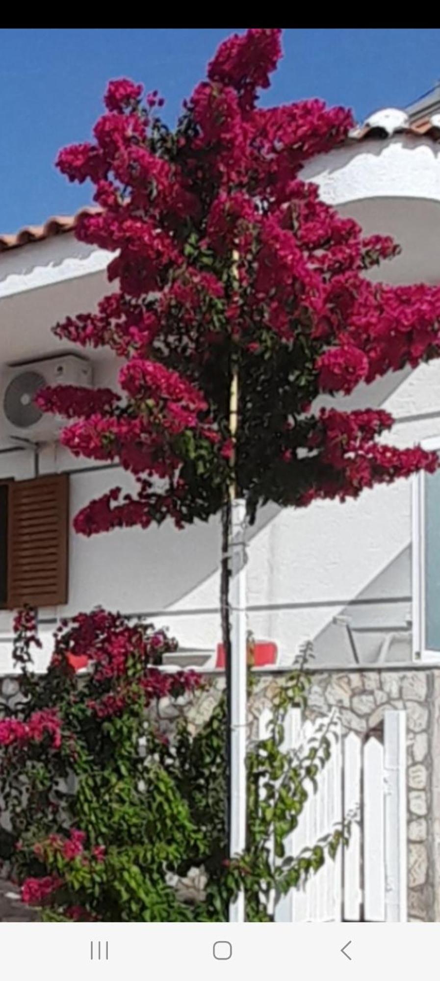 Luxury Dennis Home Sarandë Exteriör bild